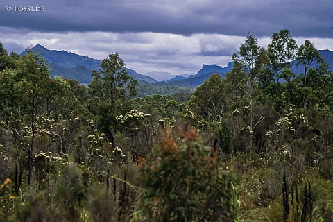 070711-0472.jpg