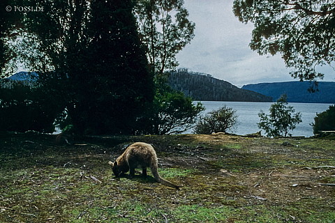 070711-0477.jpg