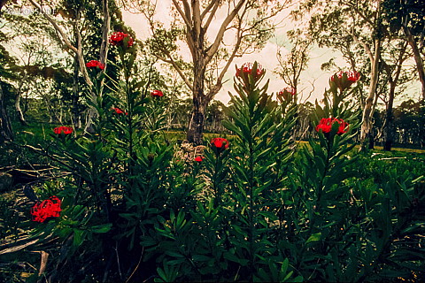 070711-0481.jpg