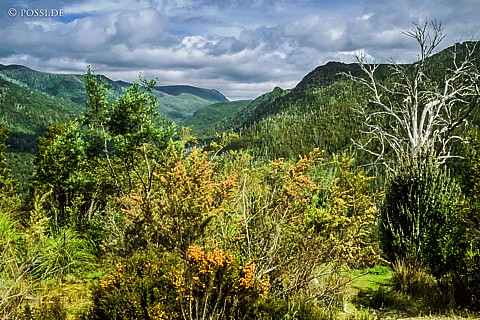 070711-0482.jpg