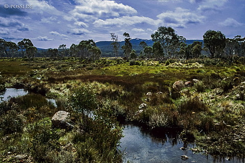 070711-0484.jpg