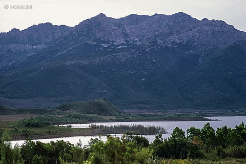 070711-0488.jpg