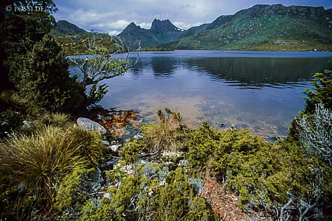 070711-0491.jpg