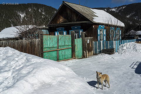 200311-5491.jpg