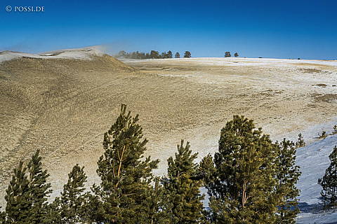 200311-5512.jpg