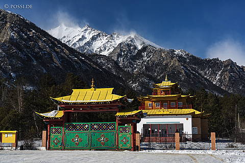 200311-5546.jpg