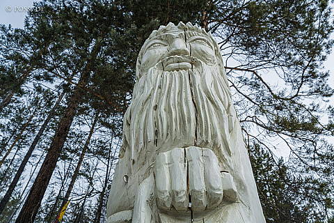 200312-5579.jpg