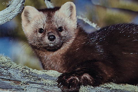 200313-5914.jpg