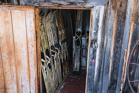 200313-5992.jpg