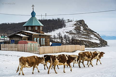 200315-6186.jpg