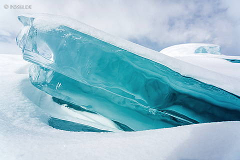 200316-6269.jpg