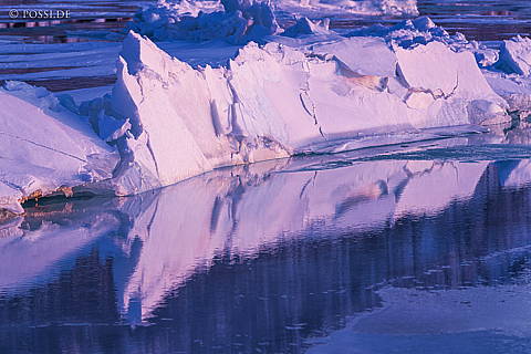 200316-6406.jpg