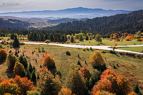 221006-0196.jpg