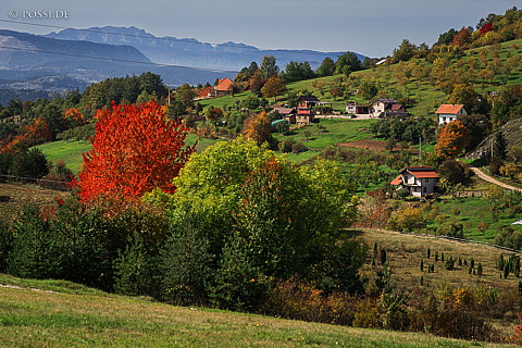 221006-0265.jpg