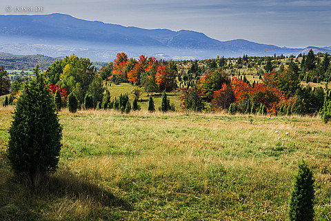 221006-0270.jpg