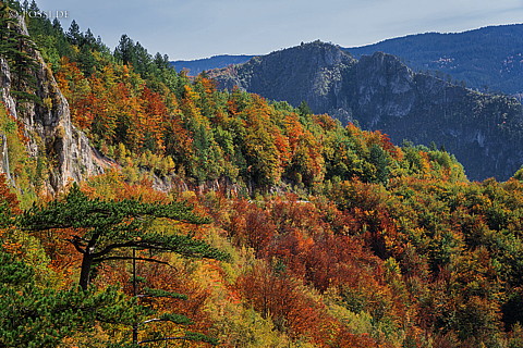 221006-0274.jpg