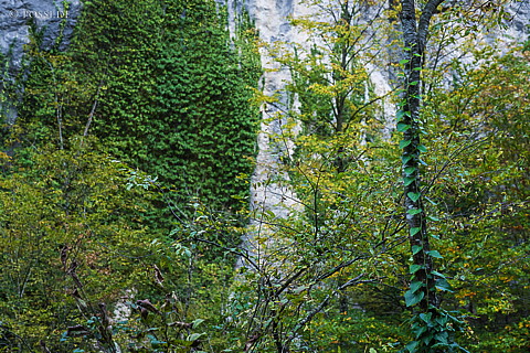 221006-0284.jpg