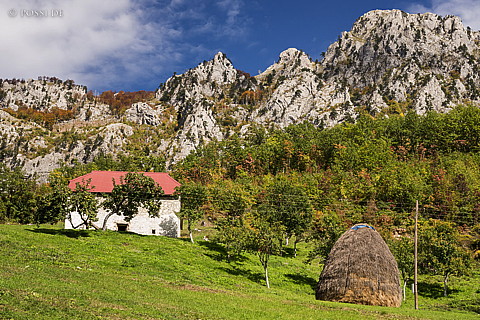 221007-0333.jpg