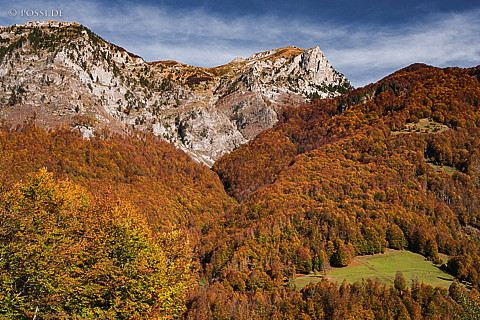 221008-0385.jpg