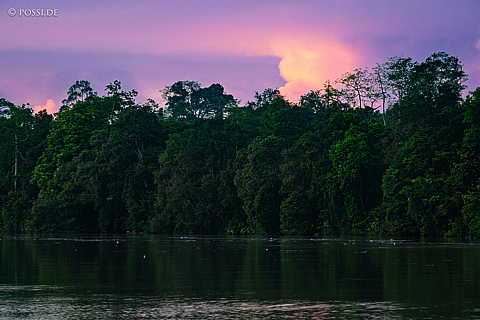 230611-055209.jpg
