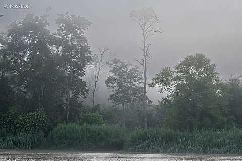 230612-060611.jpg