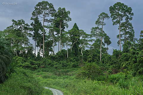 230614-174432.jpg