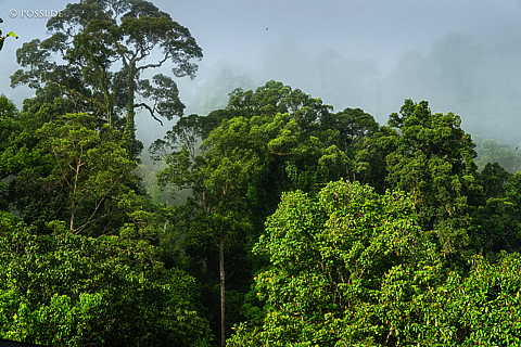 230618-065452.jpg