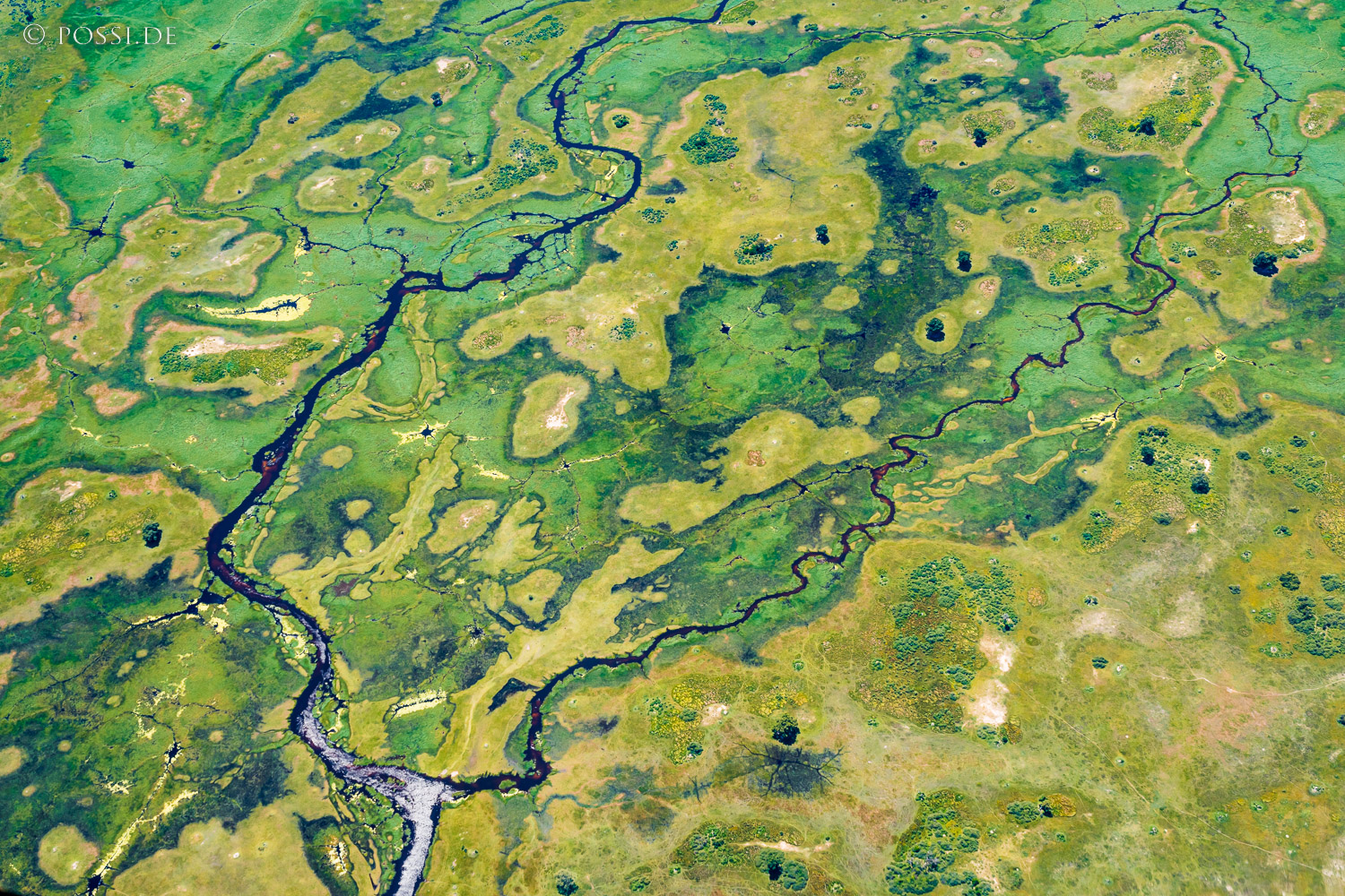 220209-4874.jpg