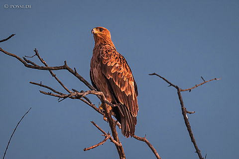 220209-6675.jpg