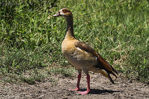 220210-7557.jpg