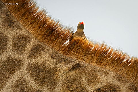220210-8301.jpg