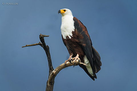 220211-8818.jpg