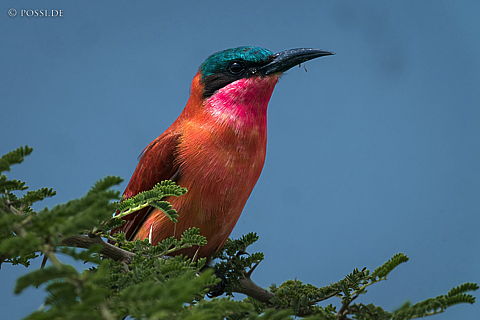 220212-2258.jpg