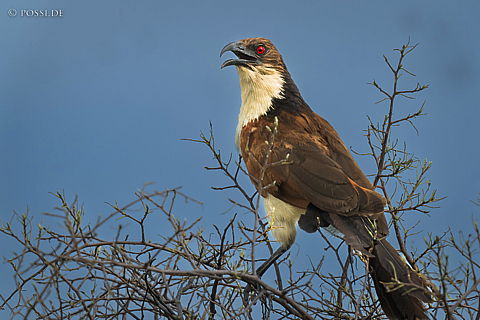 220212-2318.jpg