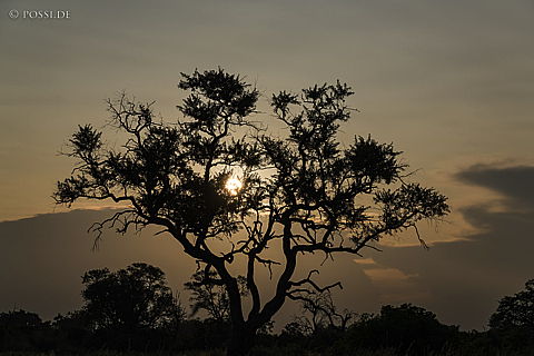 220213-2089.jpg
