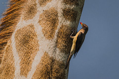 220213-5296.jpg