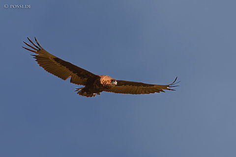 220213-5501.jpg