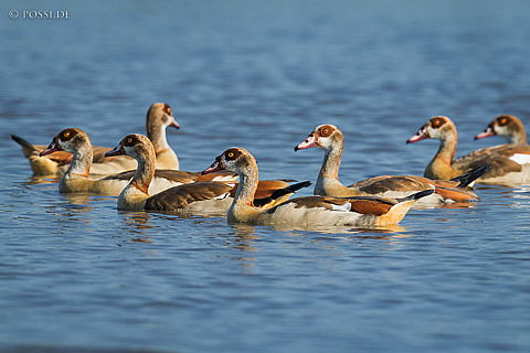 220213-5769.jpg