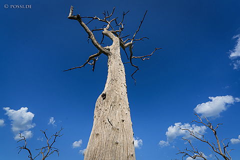 220214-2151.jpg