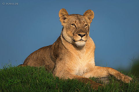 220214-7351.jpg