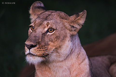 220215-0225.jpg