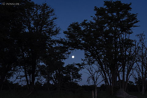 220215-2239.jpg
