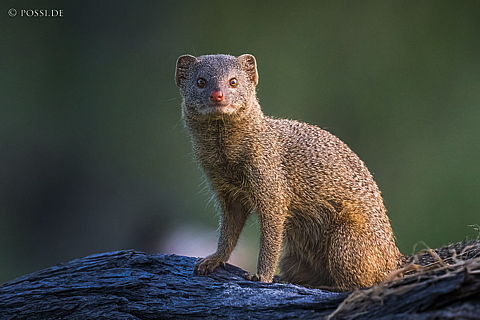 220215-2534.jpg