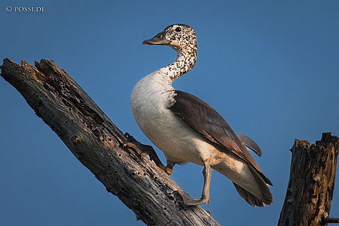 220215-2576.jpg