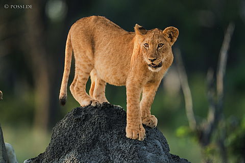 220216-3114.jpg