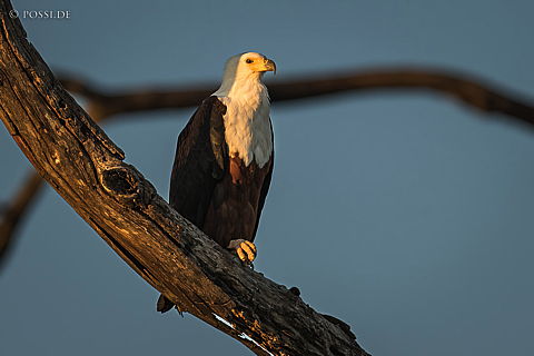 220217-7054.jpg