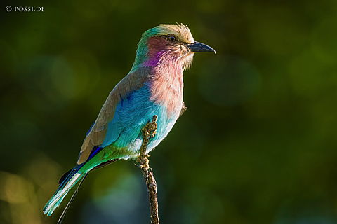 220218-3.jpg