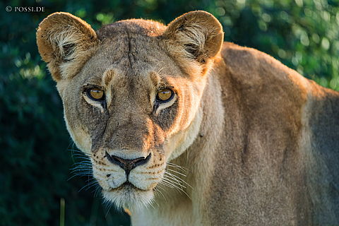 220218-7407.jpg