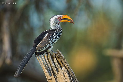 220218-8765.jpg