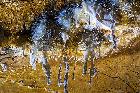 120922-1884.jpg